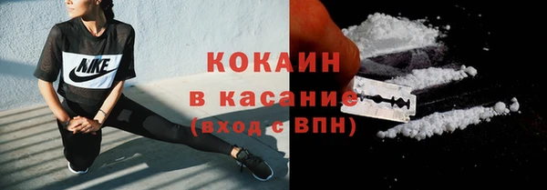 прущие грибы Балахна