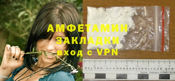 прущие грибы Балахна
