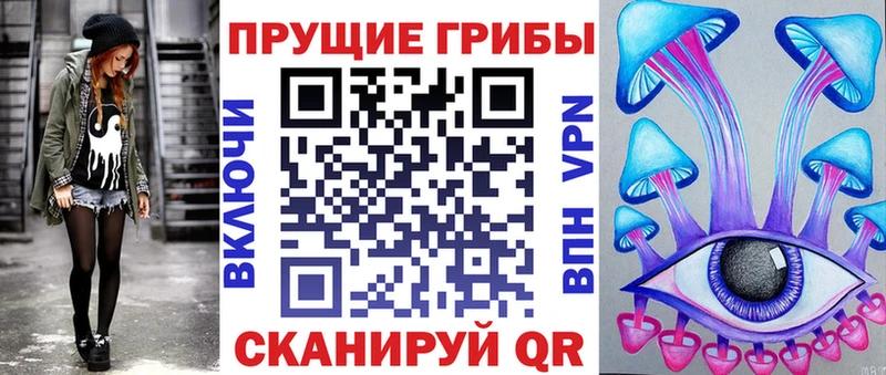 Галлюциногенные грибы Psilocybine cubensis  Терек 